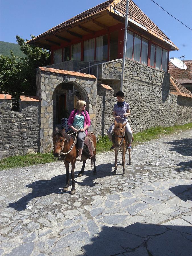 Ilham Mustafa Houses Sheki Exterior foto